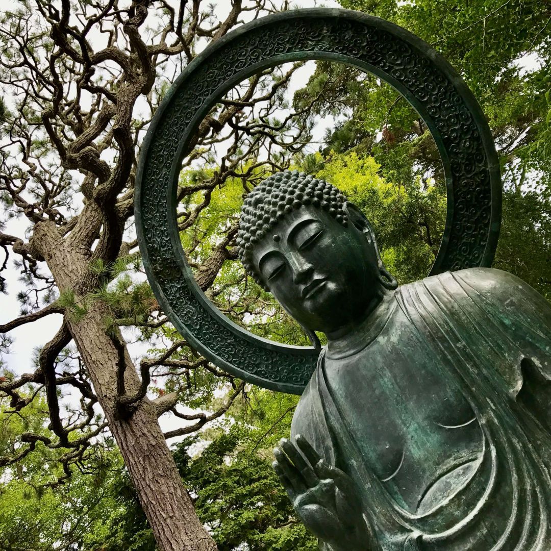 A magnificent 3.2-meter-tall bronze Buddha statue representing Siddhartha Gautama, the founder of Buddhism. This ancient statue, weighing 1,360 kilograms, was originally cast in Japan in 1790 and now resides in Golden Gate Park, San Francisco.
